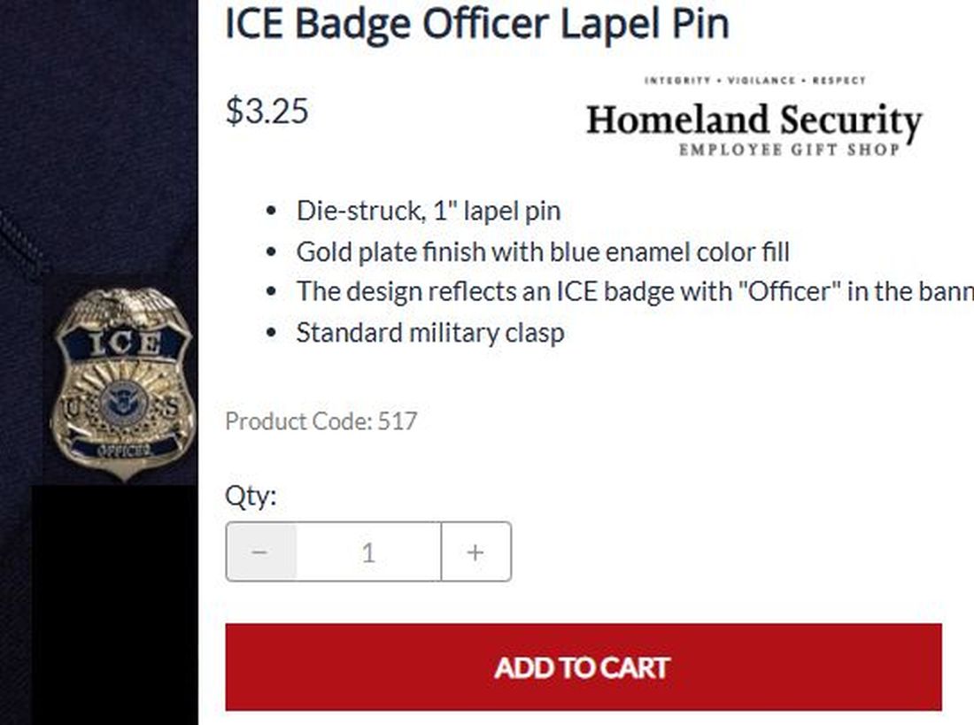 Click to Enlarge-Esc to Close ArtWork1/WiseCracks Comments Memes/ice laple pin.jpg